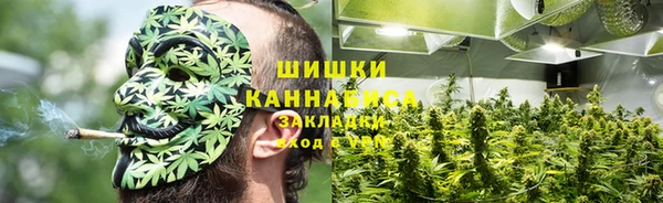 бутират Касимов